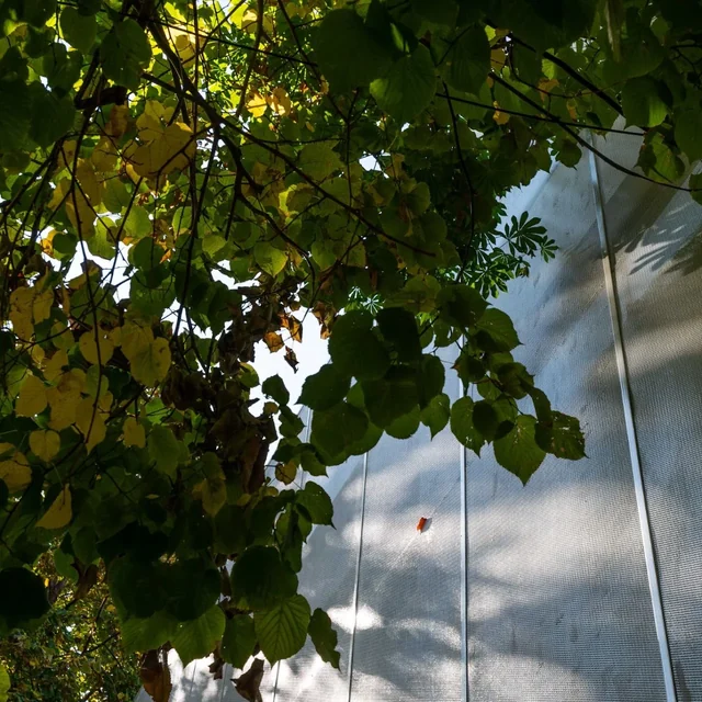 Casa Zapiola — imagen 4